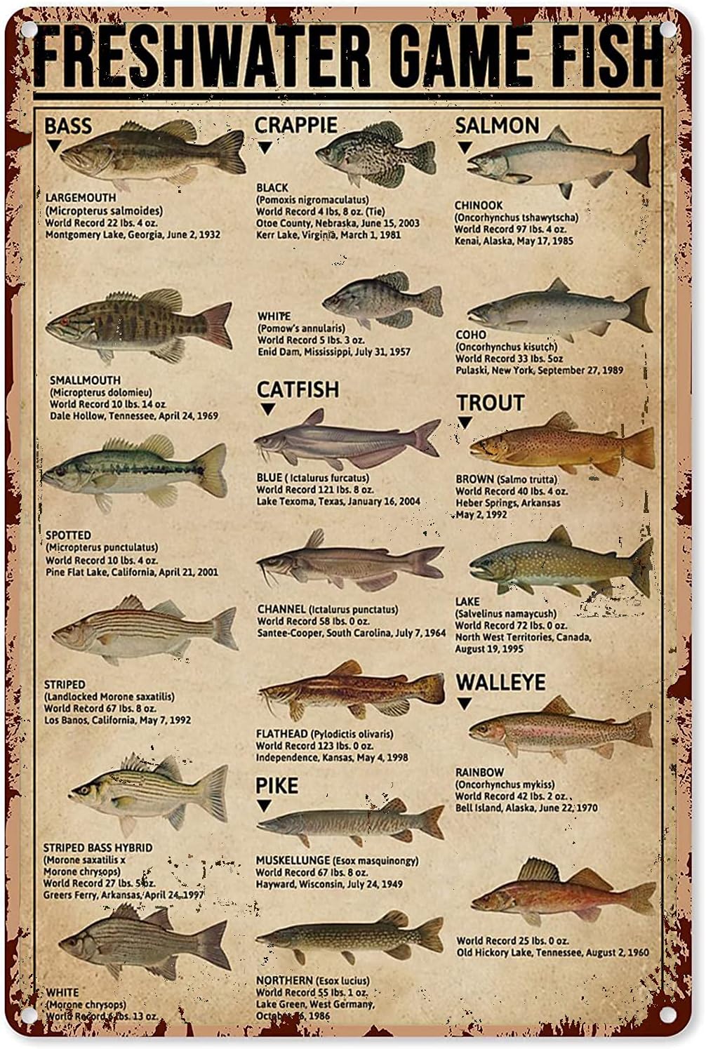 Y1,Fishing Art Posters Metal S - огляд і ціна Retro Gaming Pictures